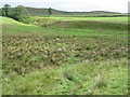 Boards bridging minor burns near Loch Burn