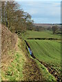 Path towards Masham