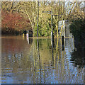 Winter floods, Ross-on-Wye, 5