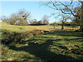 Poorly drained field close to Howe Farm