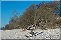 Colley Hill in snow