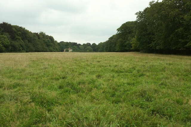 Sheep pasture by Long Wood © Derek Harper :: Geograph Britain and Ireland