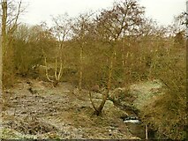 SE2040 : Yeadon Gill at the southern end of Engine Fields by Stephen Craven