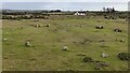 Gors Fawr Stone Circle