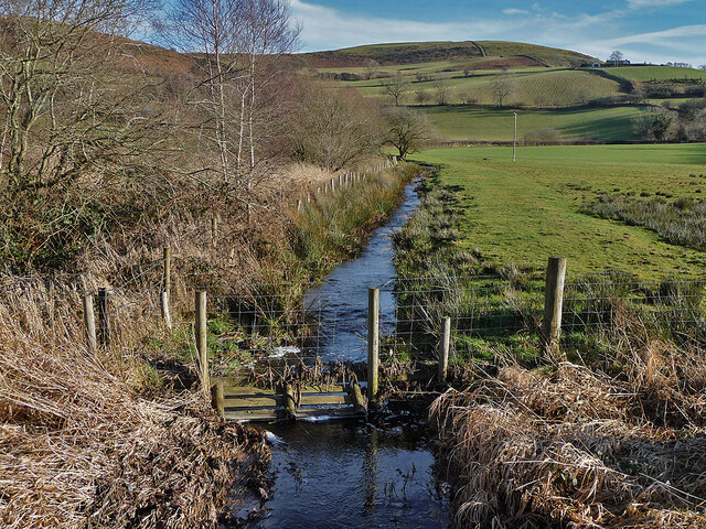 Stream and field near Maeselwad farm