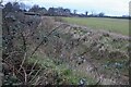 Ditch on the land behind Enfield Road