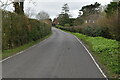 Lane to Sissinghurst