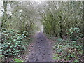 Paston Way Long distance Footpath