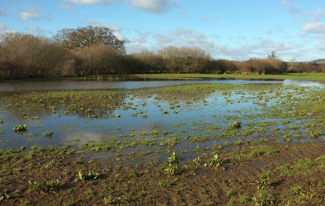 Flooded field, Teign flood plain