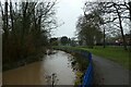 Osbaldwick Beck in Hull Road Park