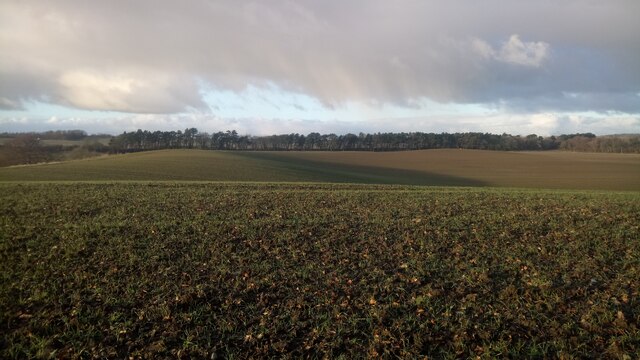 A Huge Field near Carlowrie