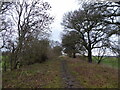 Disused railway line embankment and footpath near Ford, Shropshire