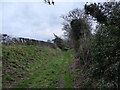 Buttermilk Lane, a green lane near Ford, Shropshire