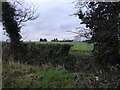 Distant view to farm house and sheds