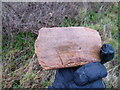 Pottery shard found in plough soil on the footpath near Shoot Hill