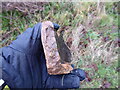 Pottery shard found in plough soil on the footpath near Shoot Hill