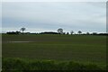 Farmland near Forest Hill Farm