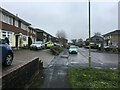 Houses in Appletree Close