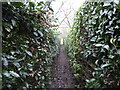 Footpath between gardens in Upper Cound