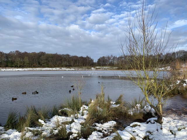 Bateswood lake in thaw
