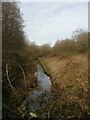 Logwood Mill Brook, Stadt Moers Park