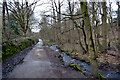 The track from Shipley Glen to Saltaire Road, Eldwick