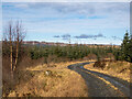 NR9293 : Forestry road in Kilmichael Forest by Patrick Mackie
