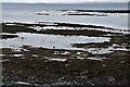 L8511 : Foreshore, north coast of Inishmor by N Chadwick