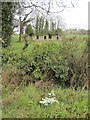 S3164 : Ruin and Snowdrops by kevin higgins
