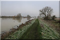 TL3672 : Bank of the Great Ouse by Hugh Venables