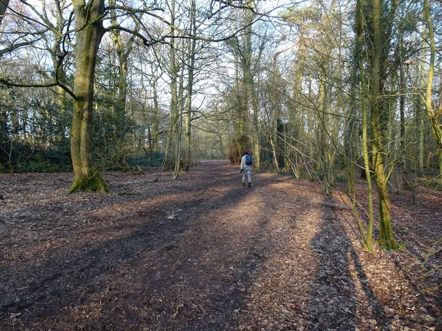 Bridgnorth Road Path © Gordon Griffiths :: Geograph Britain and Ireland