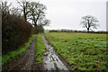 Muddy lane along a field, Kilcam