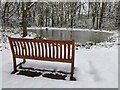 Frozen village pond at Trimpley