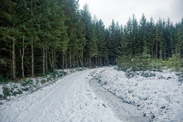 Track into Upper Knockbain Wood
