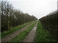 Track near Eastfield