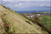 NT5584 : Path on the southeast side of North Berwick Law by Richard Webb