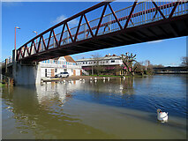 TL4559 : Cutter Ferry Bridge: swans and high water by John Sutton