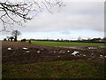 TG2728 : Arable landscape with North Walsham in distance by David Pashley