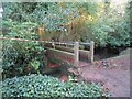 Footbridge over The Fleet, Winthorpe