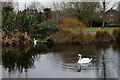 Waddon Ponds