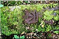 Benchmark on discarded gatepost in field NW of Armathwaite