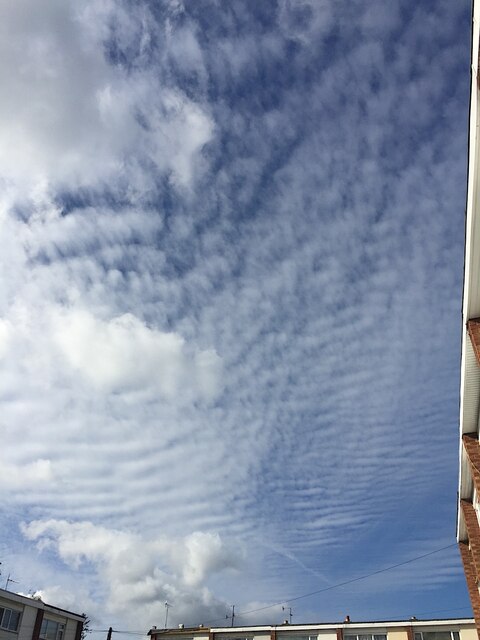 Cumulus and altocumulus clouds over Warwick