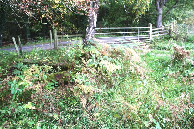 Field gateway for track onto minor road NW of Armathwaite