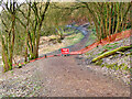 Path Closed in Springwater Park