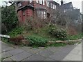 Garden on Lyttelton Road, Hampstead Garden Suburb