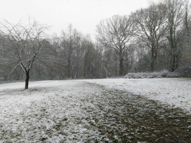 Rutland Meadow in the Snow
