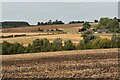 View towards Fen Farm from Pigeon