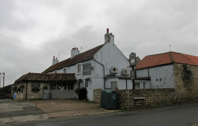 The Anne arms.
