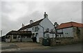 The Anne arms.