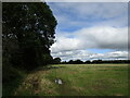 W4398 : Stubble field near Roskeen by Jonathan Thacker